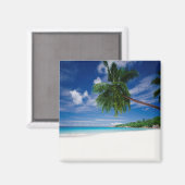 熱帯ビーチ |セーシェル マグネット (正面/裏面)