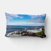 熱帯ビーチ |ハレアカラ国立公園マウイ ランバークッション (裏面)