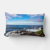 熱帯ビーチ |ハレアカラ国立公園マウイ ランバークッション (正面)