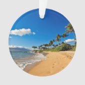 熱帯ビーチ |ハワイ州，マウイ，ワイレア オーナメント (正面)