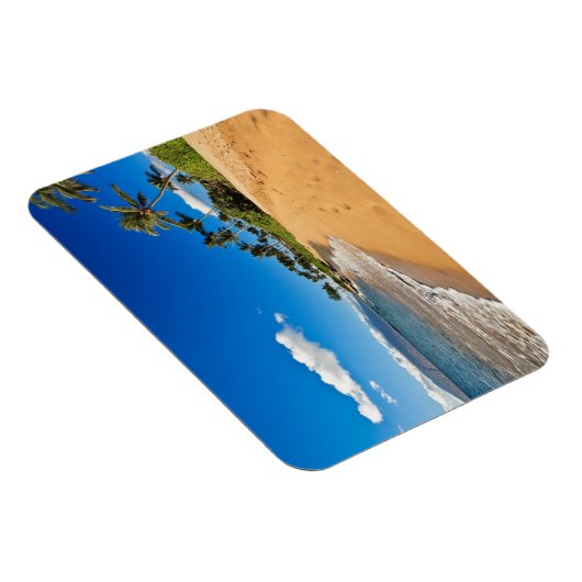 熱帯ビーチ |ハワイ州,マウイ,ワイレア マグネット (右側)