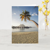 熱帯ビーチ |ボラボラビーチハッツ カード (黄色い花)