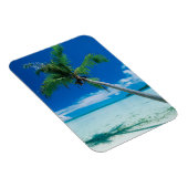 熱帯ビーチ |ボラボラビーチモツ・トファリ マグネット (右側)