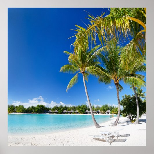 熱帯ビーチ ポスター (正面)