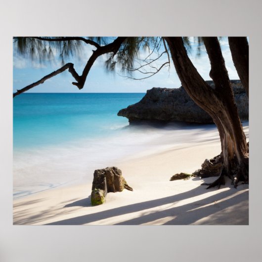 熱帯ビーチ ポスター (正面)