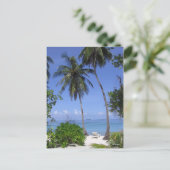 熱帯ビーチ ポストカード (スタンド正面)
