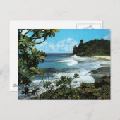 熱帯ビーチ ポストカード (正面/裏面)