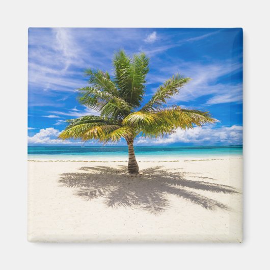 熱帯ビーチ |ポリネシア，ボラフランスのボラ マグネット (正面)