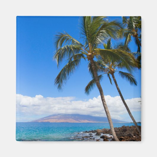 熱帯ビーチ |マウイ・ハワイ島 マグネット (正面)