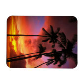 熱帯ビーチ |マウイ・ハワイ諸島 マグネット (横)