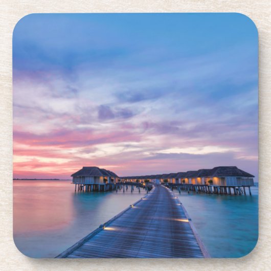 熱帯ビーチ |モルディブバンガローズ コースター (正面)