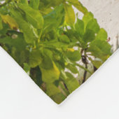 熱帯ビーチ |モルディブ島木造ジェットホテル フリースブランケット (角)