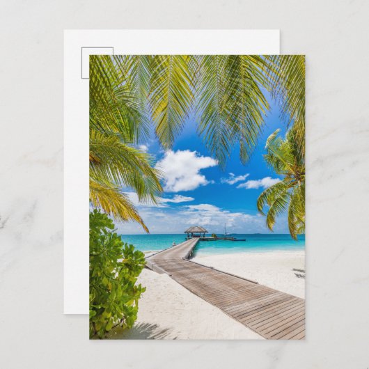 熱帯ビーチ |モルディブ島木造ジェットホテル ポストカード (正面/裏面)