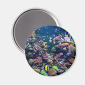 熱帯ビーチ |水中サンゴ礁 マグネット (正面/裏面)