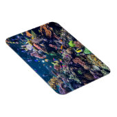 熱帯ビーチ |水中サンゴ礁 マグネット (右側)