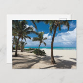 熱帯ビーチ | Anguillaビーチ、パームツリー ポストカード (正面/裏面)