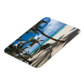 熱帯ビーチ | Anguillaビーチ、パームツリー マグネット (左側)