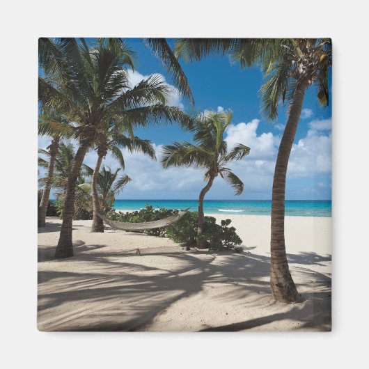 熱帯ビーチ | Anguillaビーチ、パームツリー マグネット (正面)