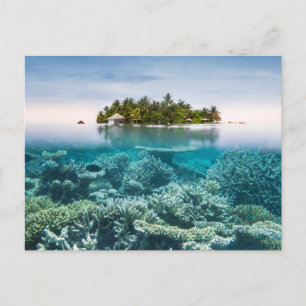 熱帯ビーチ Ari Atoll Maldives ポストカード