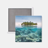 熱帯ビーチ | Ari Atoll Maldives マグネット (正面/裏面)