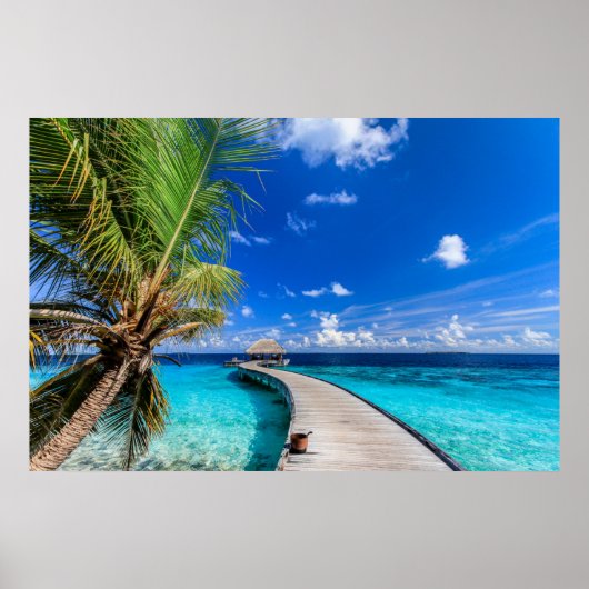 熱帯ビーチ | Dusit Thani Maldives ポスター (正面)