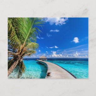 熱帯ビーチ Dusit Thani Maldives ポストカード