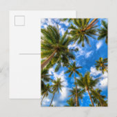 熱帯ビーチ | Palm Trees on Blue Sky ポストカード (正面/裏面)