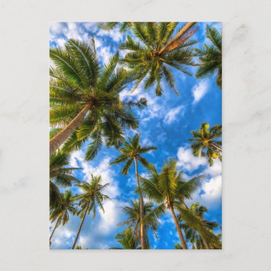 熱帯ビーチ | Palm Trees on Blue Sky ポストカード (正面)