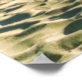 熱帯ビーチ | Sailboat, Palm Tree, Aruba ポスター (角)