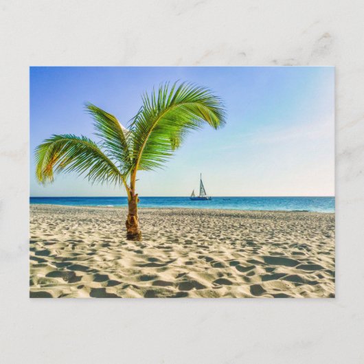 熱帯ビーチ | Sailboat, Palm Tree, Aruba ポストカード (正面)