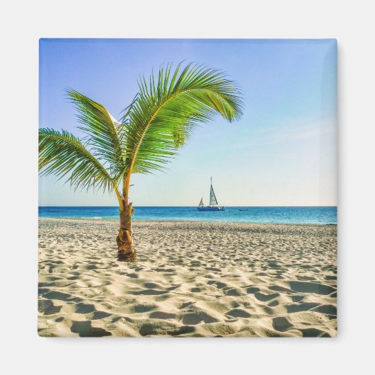 熱帯ビーチ | Sailboat, Palm Tree, Aruba マグネット (正面)