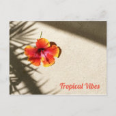 熱帯ビーブスハイビスカス ポストカード (正面)