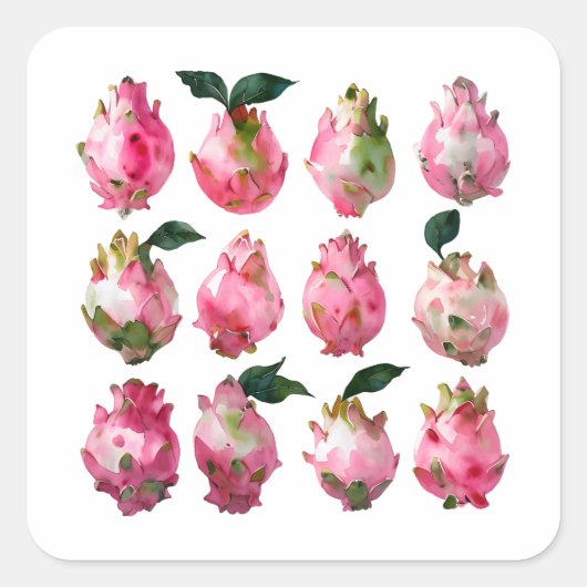 熱帯ピタヤウォーターカラーアート スクエアシール (正面)