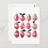 熱帯ピタヤウォーターカラーアート ポストカード (正面/裏面)