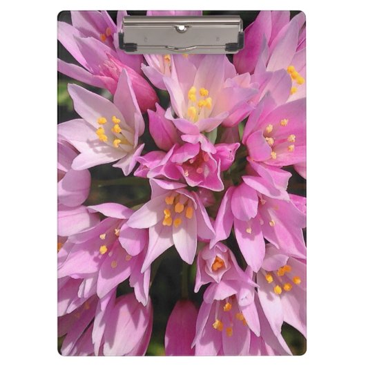 熱帯ピンクと黄色の花 クリップボード (正面)