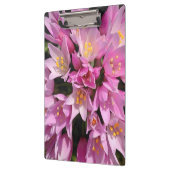 熱帯ピンクと黄色の花 クリップボード (左)