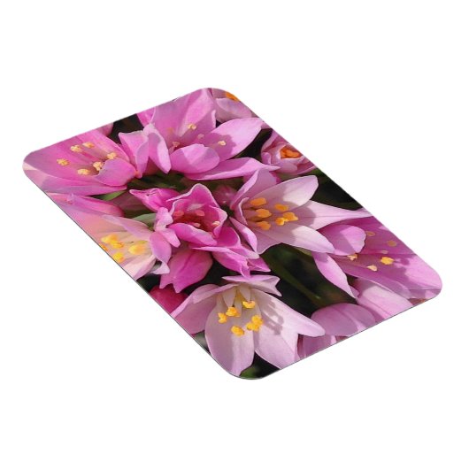 熱帯ピンクと黄色の花 マグネット (右側)