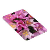 熱帯ピンクと黄色の花 マグネット (右側)