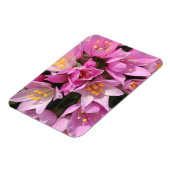 熱帯ピンクと黄色の花 マグネット (左側)