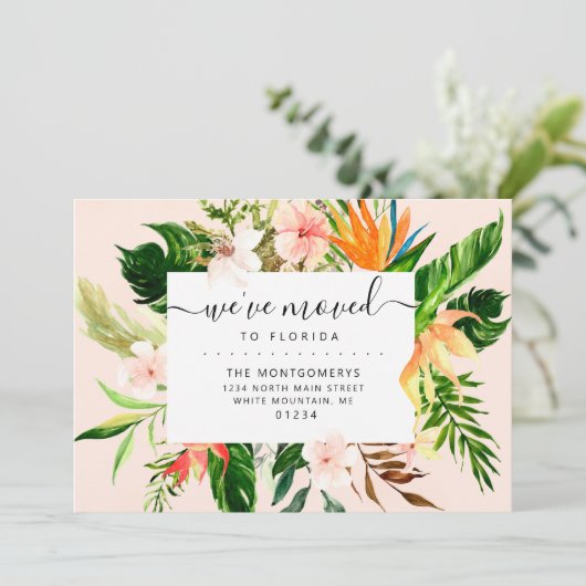 熱帯ピンクのフローラ緑のフロリダ移動 案内状 (スタンド正面)