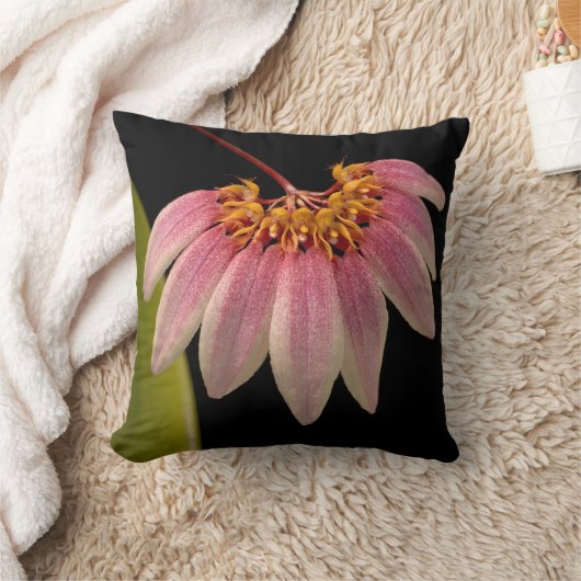 熱帯ピンクの蘭 クッション (ブランケット)