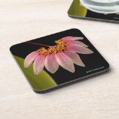 熱帯ピンクの蘭 コースター (左側)