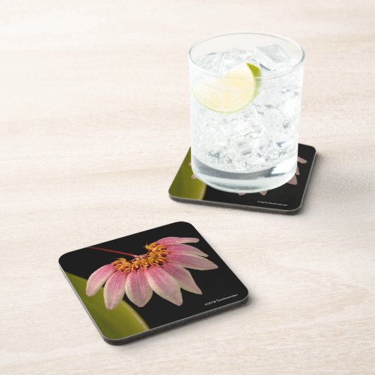 熱帯ピンクの蘭 コースター (右側)