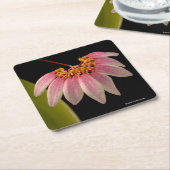 熱帯ピンクの蘭 スクエアペーパーコースター (アングル)