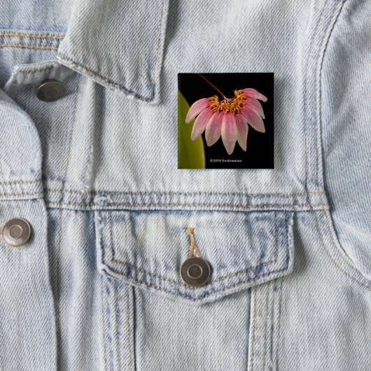 熱帯ピンクの蘭 缶バッジ (インサイチュ)