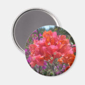 熱帯ピンクブーゲンビリア マグネット (正面/裏面)