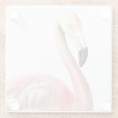 熱帯フラミンゴの鳥 ガラスコースター (裏面)