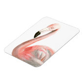 熱帯フラミンゴの鳥 マグネット (左側)