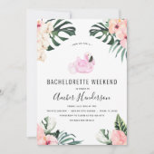 熱帯フラミンゴバチェロレッテ日程 招待状 (正面)