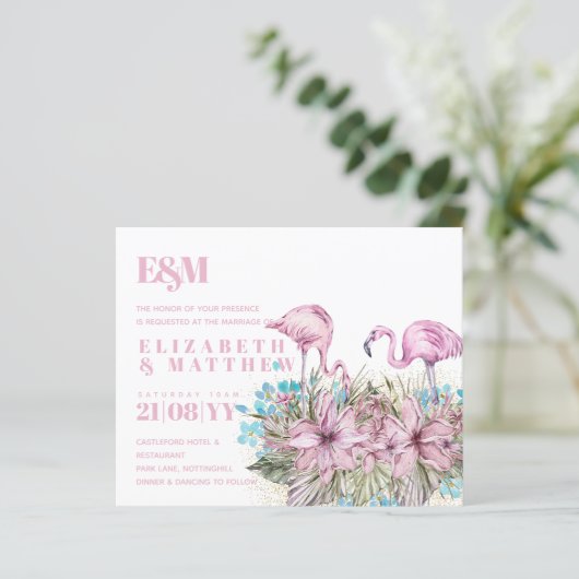 熱帯フラミンゴ結婚スの (スタンド正面)